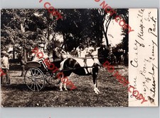 c1910 John Casey As Uncle Sam Pony Saturday Evening Post KNOXVILLE Iowa IA RPPC picture