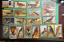 40 Tobacco Card Lot from 1910's & 20's Mecca Sweet Caporal Wills's Helmar Emblem picture