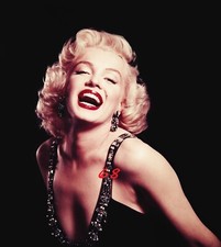 Marilyn Monroe 250 Photos picture