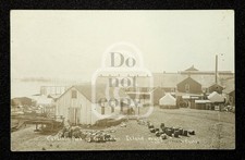Rare RPPC Carlisle Packing Co. Lummi Island Washington. C 1913 Whatcom Co. picture