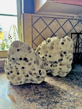 Rocks For Sale HAG STONES~25 lbs each PAIR SELLS FOR 250.OO picture