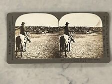 Round-up on the Sherman Ranch, Geneseo, Kansas, Keystone Co. 1902,Historic Photo picture