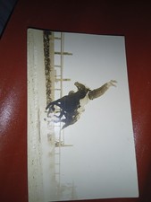 Vintage 1917 Rodeo Real Photo Postcard Lot 15 PCS Alliance Nebr. RPPC picture