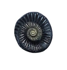 Sudarshan Shaligram Nepal Gandaki River Original Chakra Saligram 2.5 CM picture