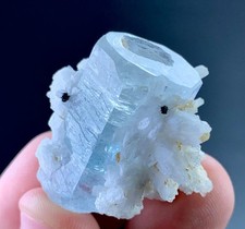 83 Carat Aquamarine Crystal Specimen From Pakistan  picture