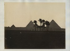 Pyramids Giza Cairo Egypt Palm Trees Camel c1870s VTG Photo picture