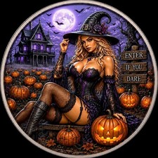 Halloween Witch & Black Cat – Night Shade - Colorized Fantasy Collectible picture