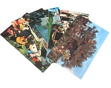 1 Vintage Mystery Walt Disney World Postcard From The 1970’s picture