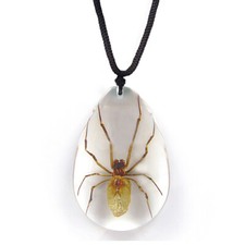 REAL BROWN RECLUSE SPIDER NECKLACE ACRYLIC PRESERVED SPECIMEN ADJUSTABLE CHAIN picture