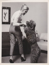 1957 Press Photo Actress Kathleen Nolan plays with her Pet Poodle Dog picture