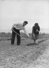 Outskirts of San Bernardino California A new home in California Dr- Old Photo picture