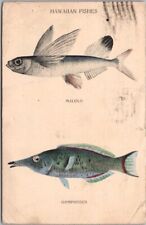 Vintage 1912 HAWAII Postcard HAWAIIAN FISHES - Malolo / Gomphosus 1912 Cancel picture