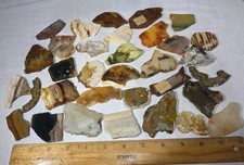 RT Rocks 1 Lb + Slab Lot Tumble, Crafts,Cabbing Agate Jasper Pet Wood,  picture