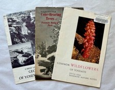 Yosemite Booklets of Wildflowers, Trees, Geology Rare 1938-39 picture