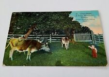 Vintage 1912 Come Bossy A Young Wisconsin Farmer Postcard Lithograph Photo picture