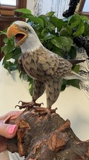 Vintage Hand Carved Painted Wood Bald Eagle Glass Eyes Statue Maxim Las Vegas picture