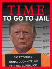 Time to Go to Jail BUMPER STICKER or MAGNET anti Trump funny prison mugshot picture