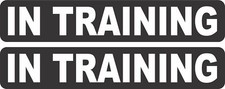 StickerTalk In Training Vinyl Sticker Sheet, 8 inches x 1.5 inches picture