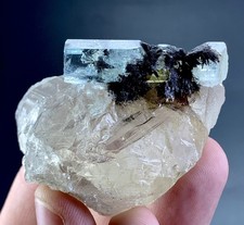 Rare Aquamarine Crystal With Columbite On Quartz Specimen From Skardu Pakistan picture