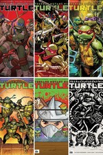 Teenage Mutant Ninja Turtles (2024) #25 PREORDER 1/13 picture
