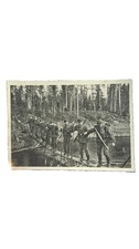 Mint Germany WW2 RPPC Postcard Waffen SS Mountain Nord Division Spähtrupp picture