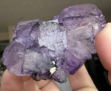 Fluorite and Sphalerite, Elmwood Mine, Smith County, Tennessee picture