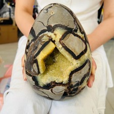 11.3LB  Natural Gold Dog Teeth Dragon Pattern Petrochemical Crystal Cave Healing picture