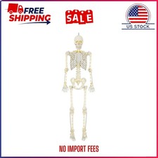 5ft Poseable LED Illuminated Skeleton, Halloween Decoration, by Way to Celebrate picture