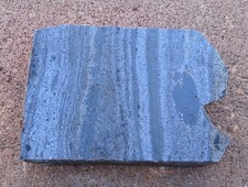 Banded GALENA and SPHALERITE--Sullivan mine, BC, Canada--Slabbed & Coated picture
