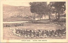 Lithograph Raton NM Scene in Ripley Park early 1900s picture