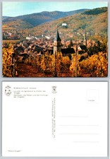 Continental Ribeauville France Vineyard View Postcard picture