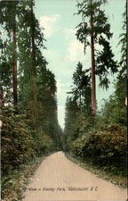 Vancouver BC - Road through tall trees in Stanley Park - Antique Postcard - 1909 picture