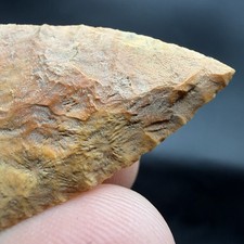Indian Arrowhead Central Florida Very Fine Collector Grade 1.95” picture