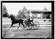 Photo:Horse show,July 1912 6 picture