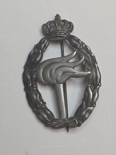 Original WW2 Italian Airforce Reconnaissance at Sea Qualification Badge Silver picture