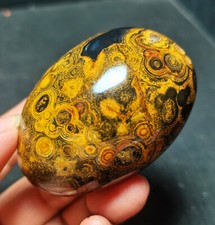 Rare 164G Natural Inner Mongolia Gobi Eye Agate Geode Collection Healing WYY2668 picture