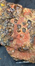 Iridescent Botryoidal Goethite Hematite La Arboleda Spain 645g Collector picture