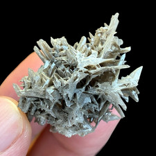 Snowflake Cerussite Twin Crystal Cluster on Galena Matrix Mineral Display Specim picture