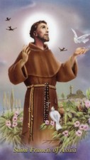 ST. FRANCIS OF ASSISI - Laminated Holy Cards. QUANTITY 25 CARDS picture