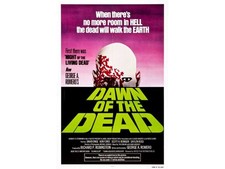 DAWN OF THE DEAD ZOMBIE HORROR CULT FLICK Movie TV Film Poster Print picture