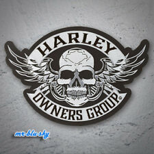Large Winged Skull Silver Patch ~ Harley Davidson Owners Group H.O.G.  picture