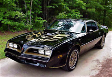 TRANS AM 1977 PONTIAC - SMOKEY AND THE BANDIT - REFRIGERATOR MAGNET picture