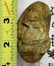 Pre Historic Man Made Authentic Carved Ancient Stone Effigy/ Figure, 3.9 oz picture