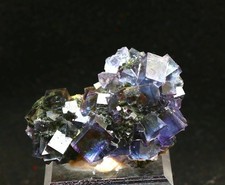 17g Natural purple Blue Phantom Cubic fluorite mineral specimen/yaogangxian picture