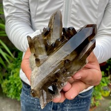 420G Natural Smoky Black Quartz Cluster Crystal raw Specimen Healing picture