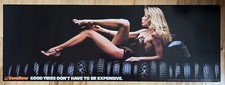 Vintage Motorcycle Swallow Tires Poster pretty sexy girl lingerie model moto mx picture