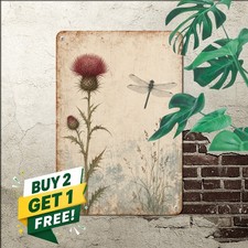 vintage botanical illustration dandelion dragonfly distressed aged paper picture