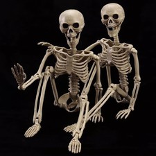 wymulot 2-Pack 40