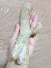 Golden Coral Branch Genuine Very Rare 480 gr Natural Specimen for jewelry 17,5cm picture