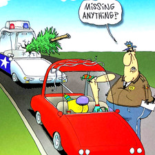 *ONE* The Duplex Comic Strip Christmas Card Tree Accident Eno & Dog Fang Funny picture